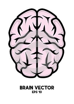 Brain vectorÃ¢â¬â stock illustration Ã¢â¬â stock illustration file photo